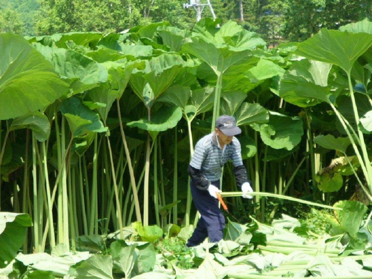 ホテル レウス アショロ 足寄町 エクステリア 写真